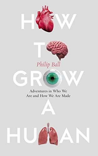 How grow human - to, a