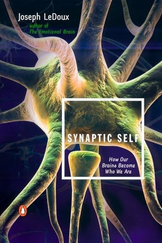 Synaptic self how our brains - self:,